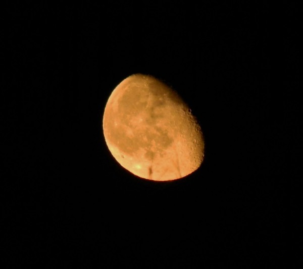 Moon - 4.27  Print